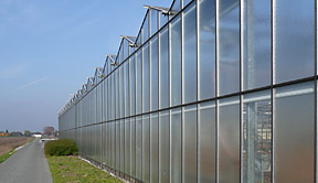 Gewächshaus Gewächshaus