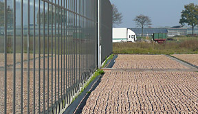 Gewächshaus (außen)